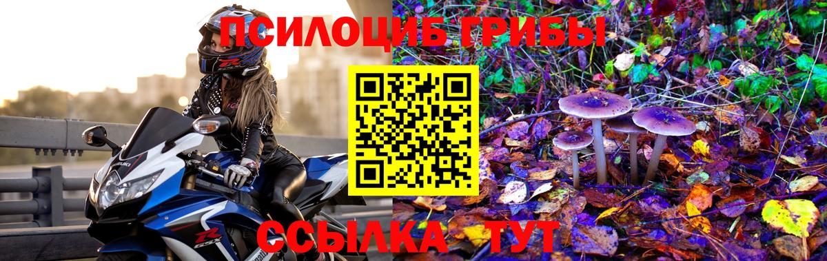 Галлюциногенные грибы Cubensis  Вход с VPN  Туапсе 